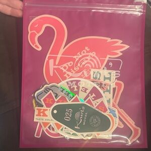 Kurt Geiger motel Accessories Pack